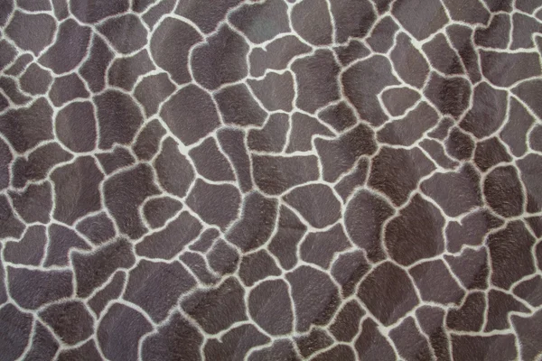 Texture du motif girafe fond de peau — Photo