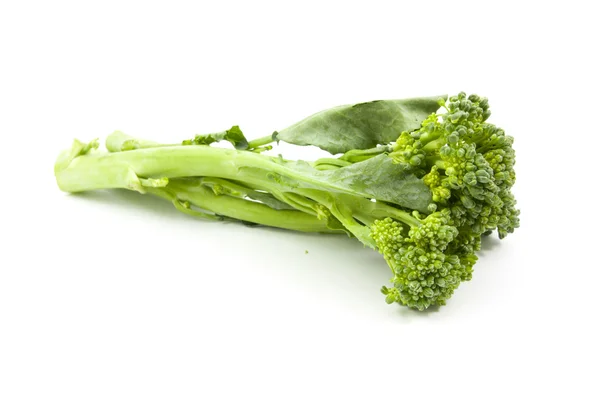 Bimi baby broccoli geïsoleerd — Stockfoto