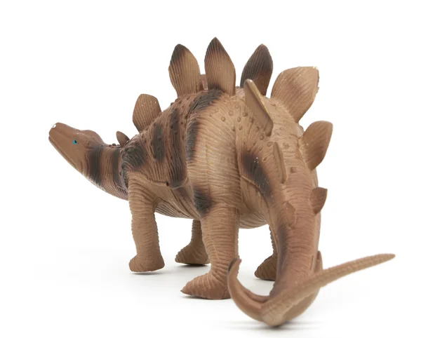 Dinosaurio Stegosaurus aislado — Foto de Stock