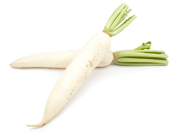 Rábanos daikon aislados — Foto de Stock