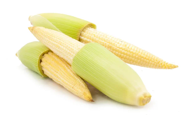 Baby corn isolated — Stock Photo, Image