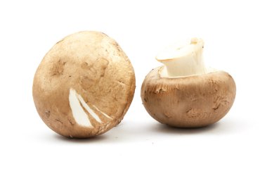 izole taze petrol kahverengi sürüm 