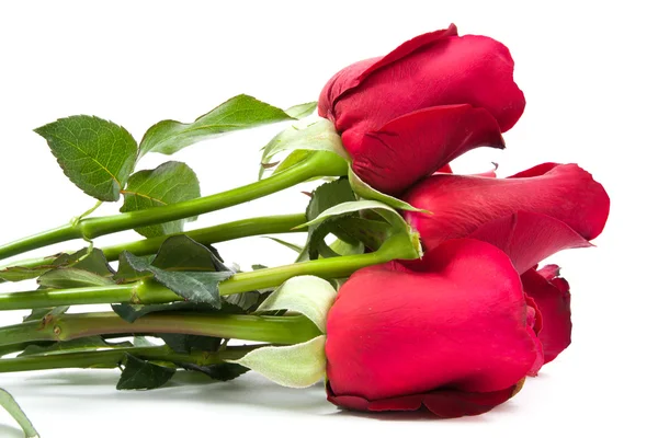Red roses bouquet — Stock Photo, Image