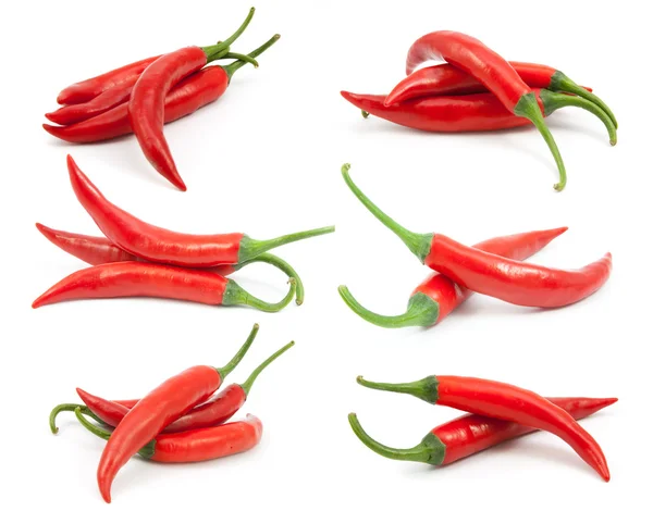 Colección de chiles rojos — Foto de Stock