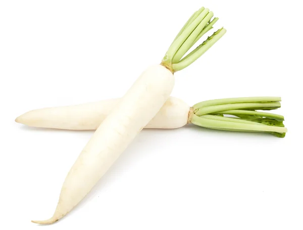 Rábanos daikon aislados — Foto de Stock