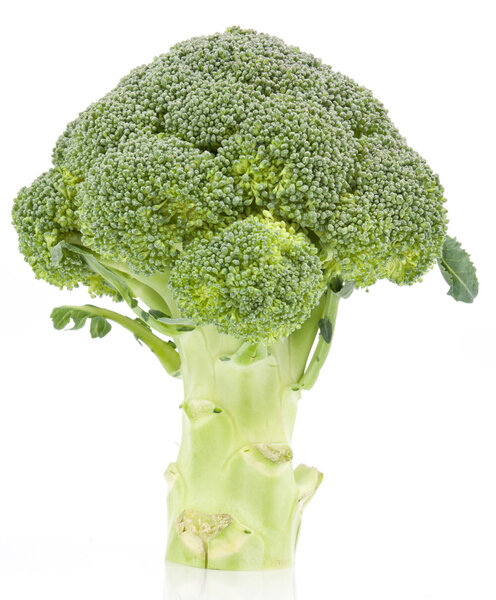 broccoli isolated on white background