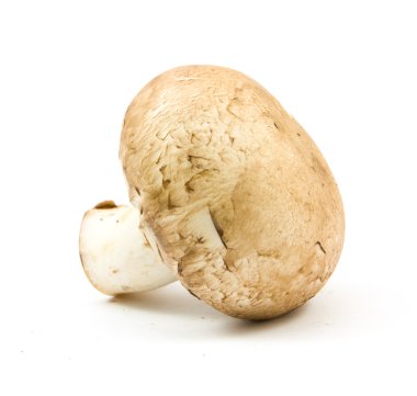 izole taze petrol kahverengi sürüm 