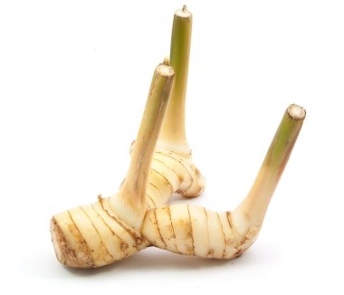 Taze havlıcan izole