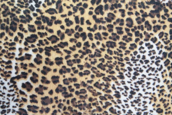 Texture de peau de léopard fourrure — Photo