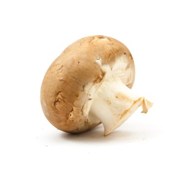 izole taze petrol kahverengi sürüm 