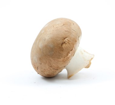 Beyaz arka plan üzerinde izole taze petrol kahverengi sürüm