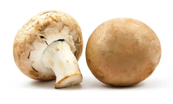 Frische Champignons braune Version isoliert — Stockfoto