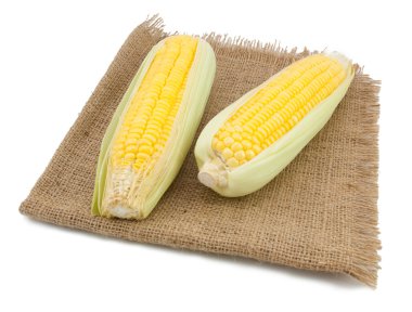 çuval arka plan üzerinde iki Mısır