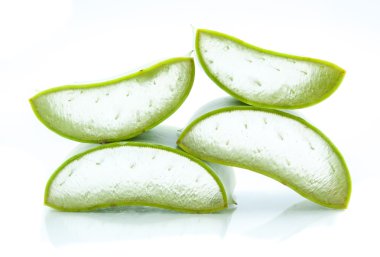 vers blad Aloë vera geïsoleerd