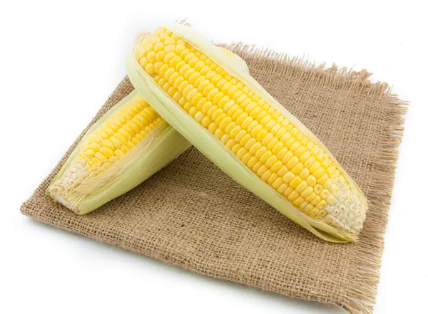 Két kukorica zsákot háttér — Stock Fotó