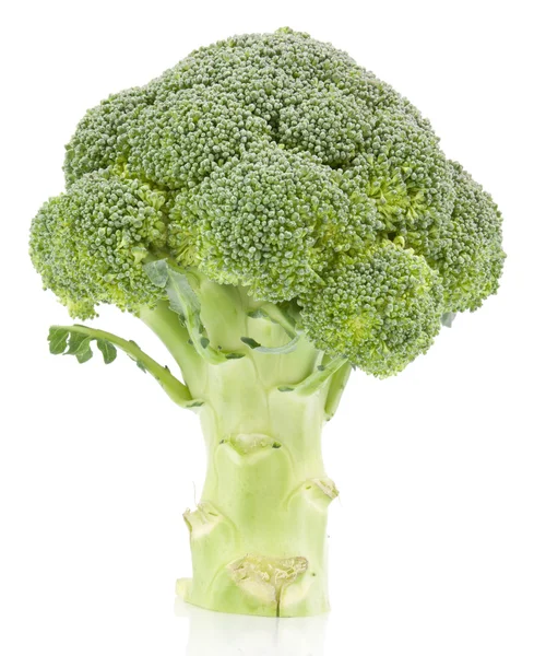 Broccoli isolated on white background — Stock Photo, Image