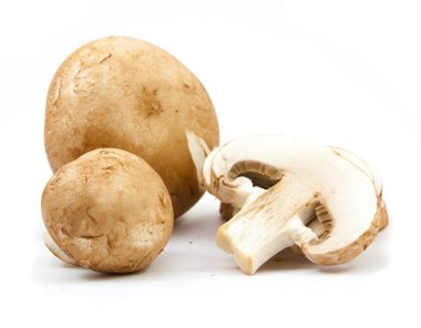 izole taze petrol kahverengi sürüm 