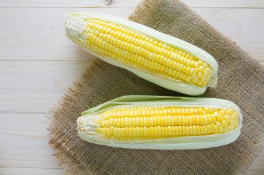 çuval arka plan üzerinde iki Mısır