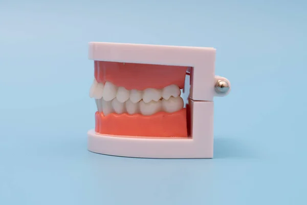 Teeth model and dentist tool on blue background