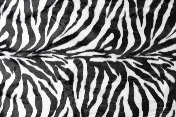 Svart Vit Ränder Verklig Zebra Bakgrund — Stockfoto