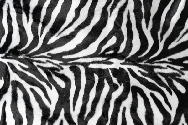 Svart Vit Ränder Verklig Zebra Bakgrund — Stockfoto
