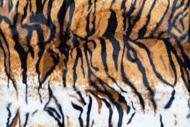 Yakın plan gerçek kaplan dokusu arka plan