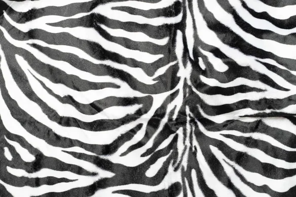 黑白色条纹真正的斑马背景 — 图库照片