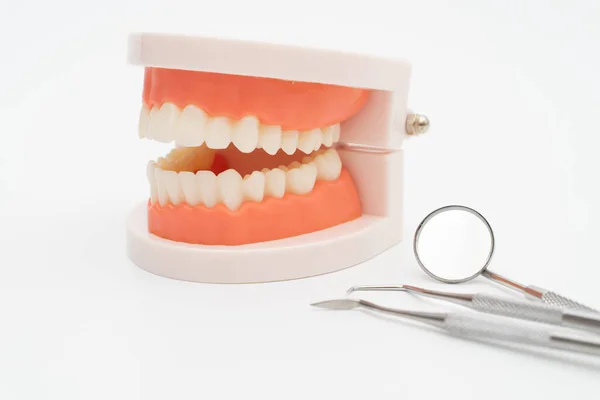 Zestaw Pielęgnacji Narzędzi Dentystycznych Model Zęba Białym Tle — Zdjęcie stockowe