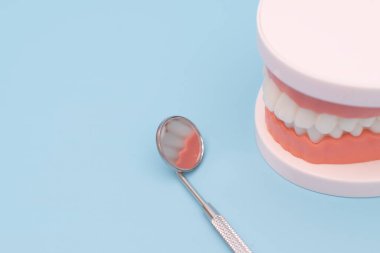 Mavi arkaplanda diş modeli ve dişçi aracı