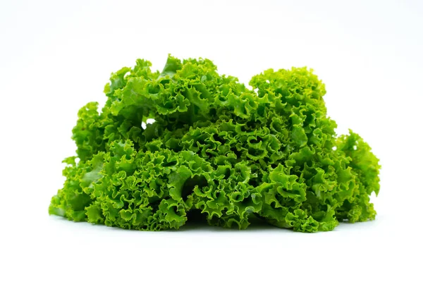Fresh Lettuce White Background — Stock Photo, Image