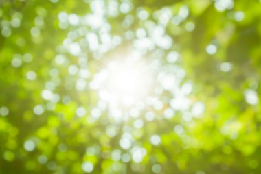 Yeşil bulanık ışıklar.