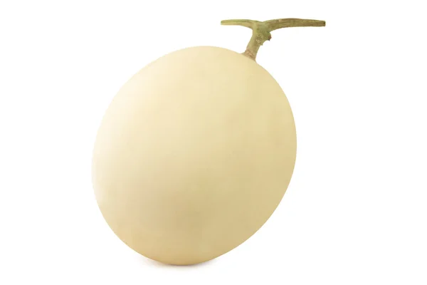 Single Cantaloupe — Stock Photo, Image