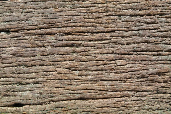Гнилої деревини — стокове фото