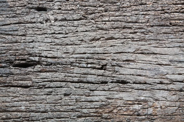 Madera en descomposición — Foto de Stock