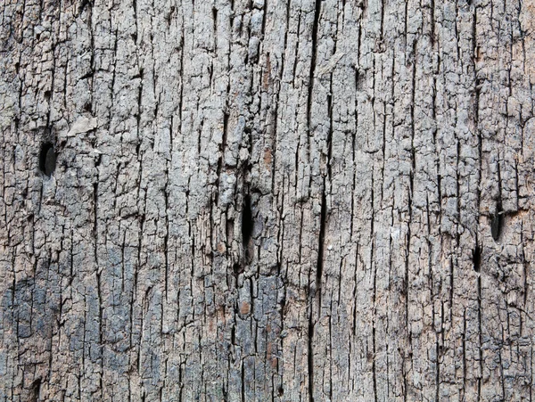 Vecchio pezzo di legno intemperie — Foto Stock