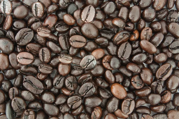 Coffee Bean Background — Stock Photo, Image