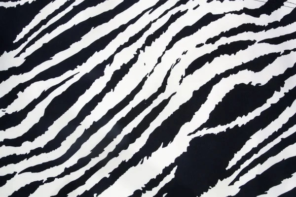 Zebra strip — Stockfoto
