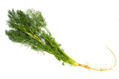 Dill.