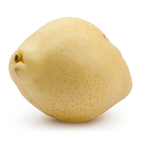 Pear fruit — Stock Photo, Image