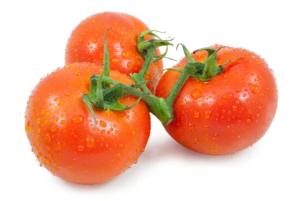 Tre tomat med droppar — Stockfoto