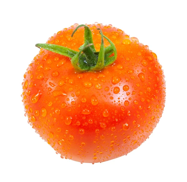 Tomat med droppar vatten — Stockfoto