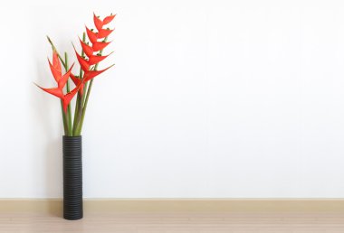 heliconia çiçek Oda boş