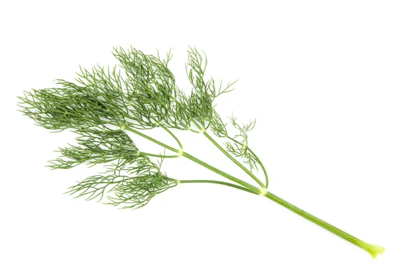 Dill — Stockfoto