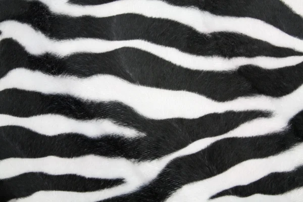 Zebra textúra — Stock Fotó