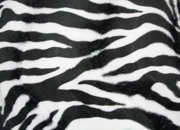 Textura Zebra — Fotografia de Stock