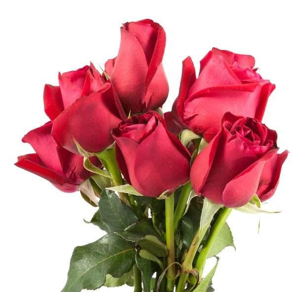 Red roses bouquet — Stock Photo, Image