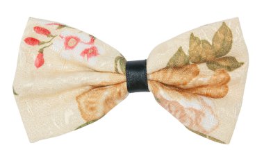 Mavi yay beyaz izole üzerinde beyaz arka plan üzerinde kapat