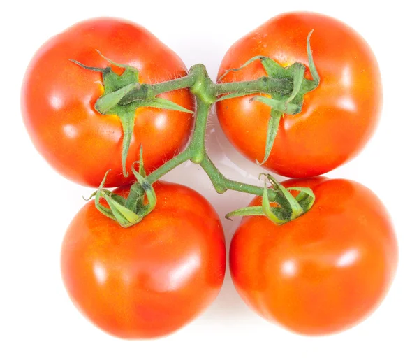 Top view four tomato on white background — Stock Photo, Image