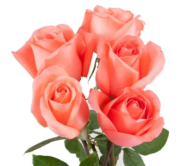 Ροζ τριαντάφυλλα σε μπουκέτο — Φωτογραφία Αρχείου
