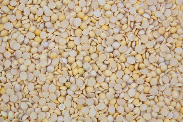 Fondo de textura de soja seca — Foto de Stock